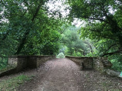 sendero molino del corcho|Ruta Sendero Molino del Corcho